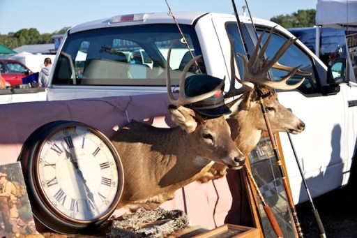 Webster's deers Webster's deers