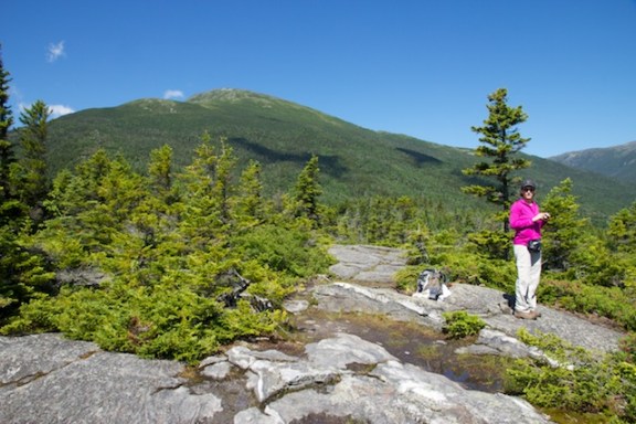 Mount Washington from Low's Bald Spot