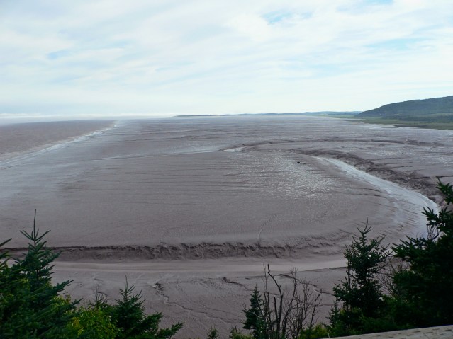 mud flats