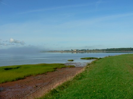 Our Campground View Our Campground View