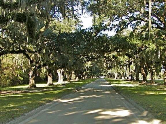 Magnolia Plantation Magnolia Plantation