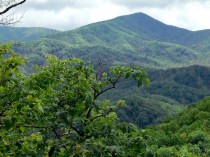 Smoky Mountains