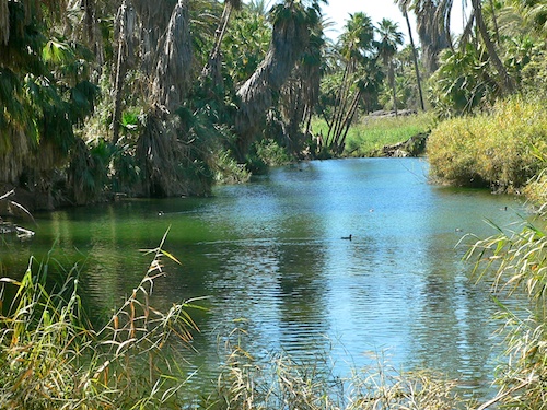 mulege200702 2121003
