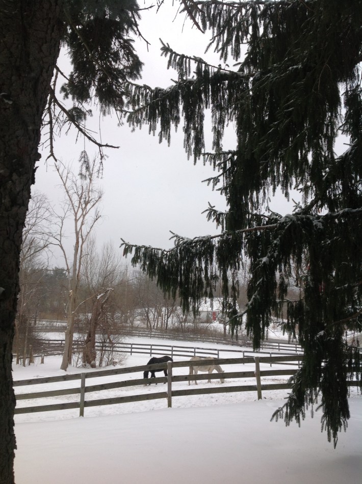 Best wishes for the holidays