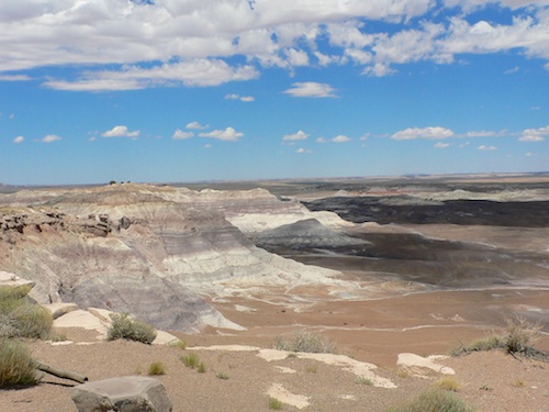 The Desert stretches as far as the eye can see