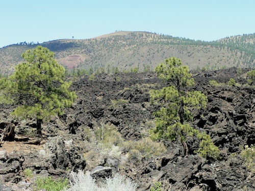 Lava fields