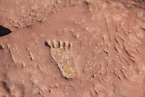 Footprints in the sandstone