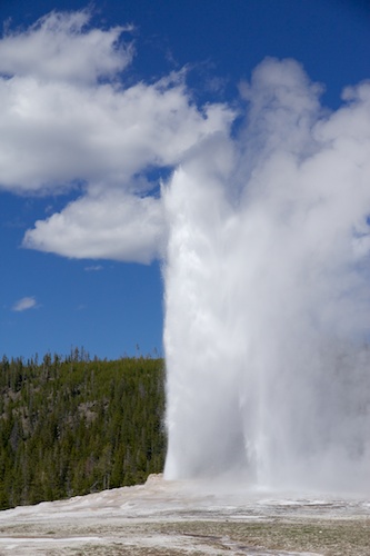 Old Faithful