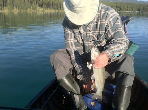 One That Didn't Get Away