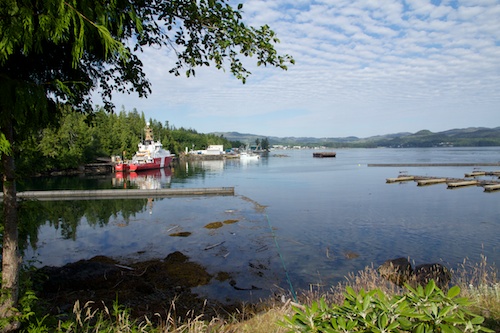 We awoke to this view of Port Hardy