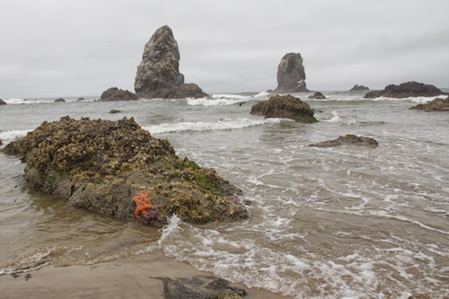Low tide, big rocks