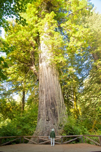 6 foot tall Hubby looks petite by comparison