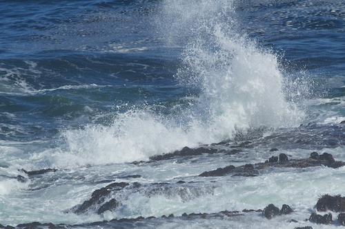 Can you hear the ocean roar?