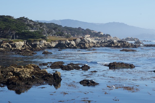 Monterey Coast