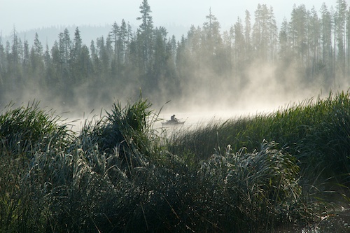 Early Morning fishing